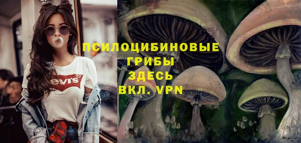 винт Богородицк