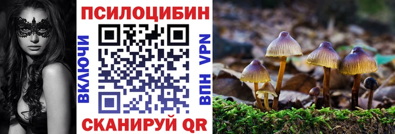 Псилоцибиновые грибы Magic Shrooms  Великий Устюг 