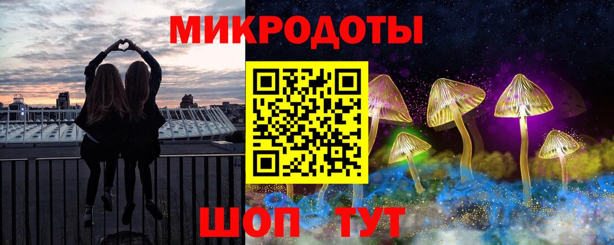 Псилоцибиновые грибы прущие грибы Великий Устюг
